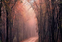 虎扑体育:创造历史 王梓阳首夺世界极限运动会冠军.