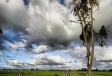 NBA历史最贵5件球衣:98乔丹最后一舞断档遥遥领先 科詹上榜.