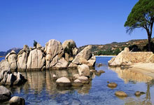 虎扑体育:创造历史 王梓阳首夺世界极限运动会冠军.